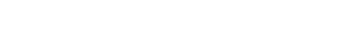 Days Dynamics